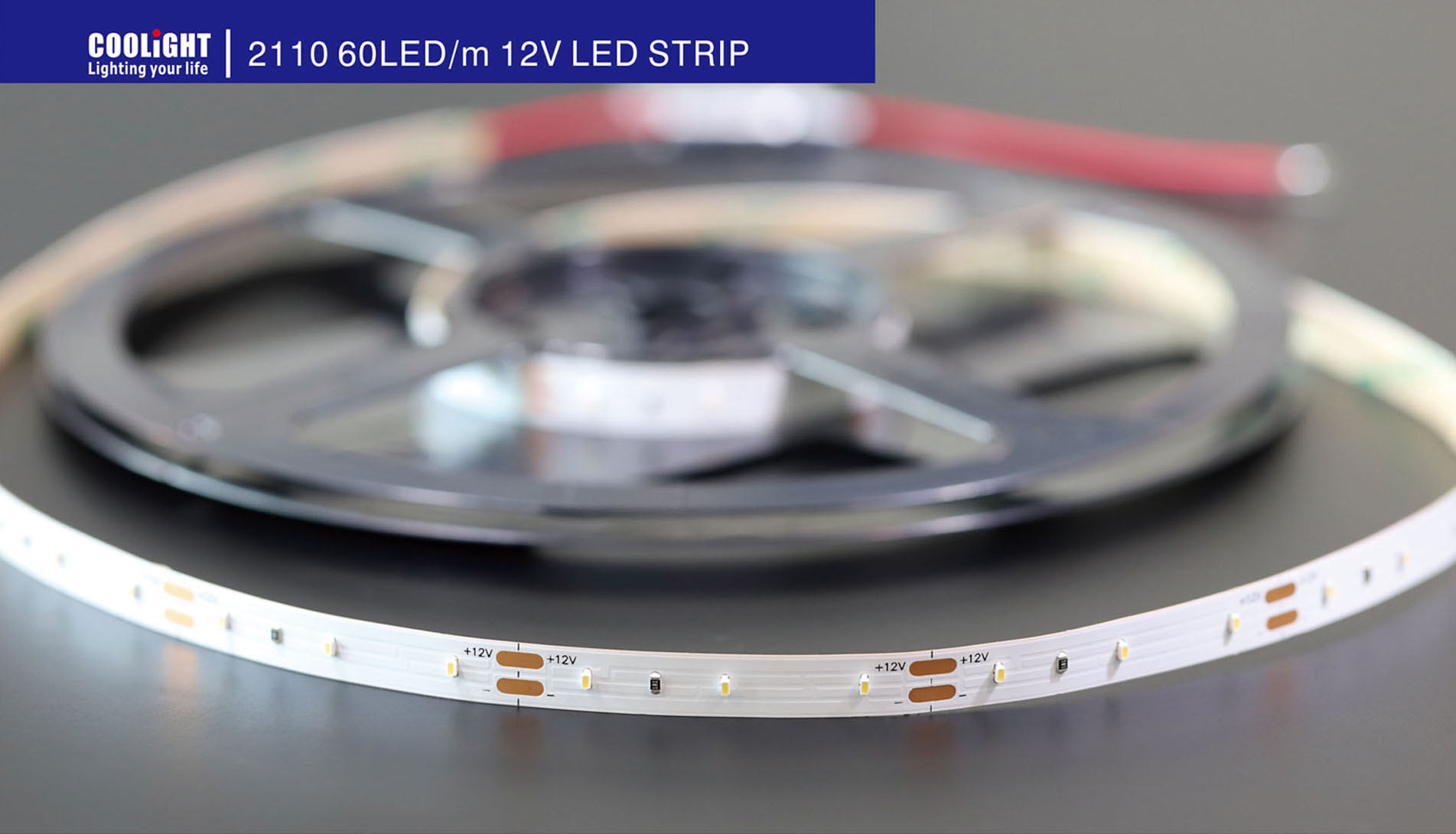 2110 60led 12v standard series