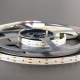 2216 280led/m 24v led strip