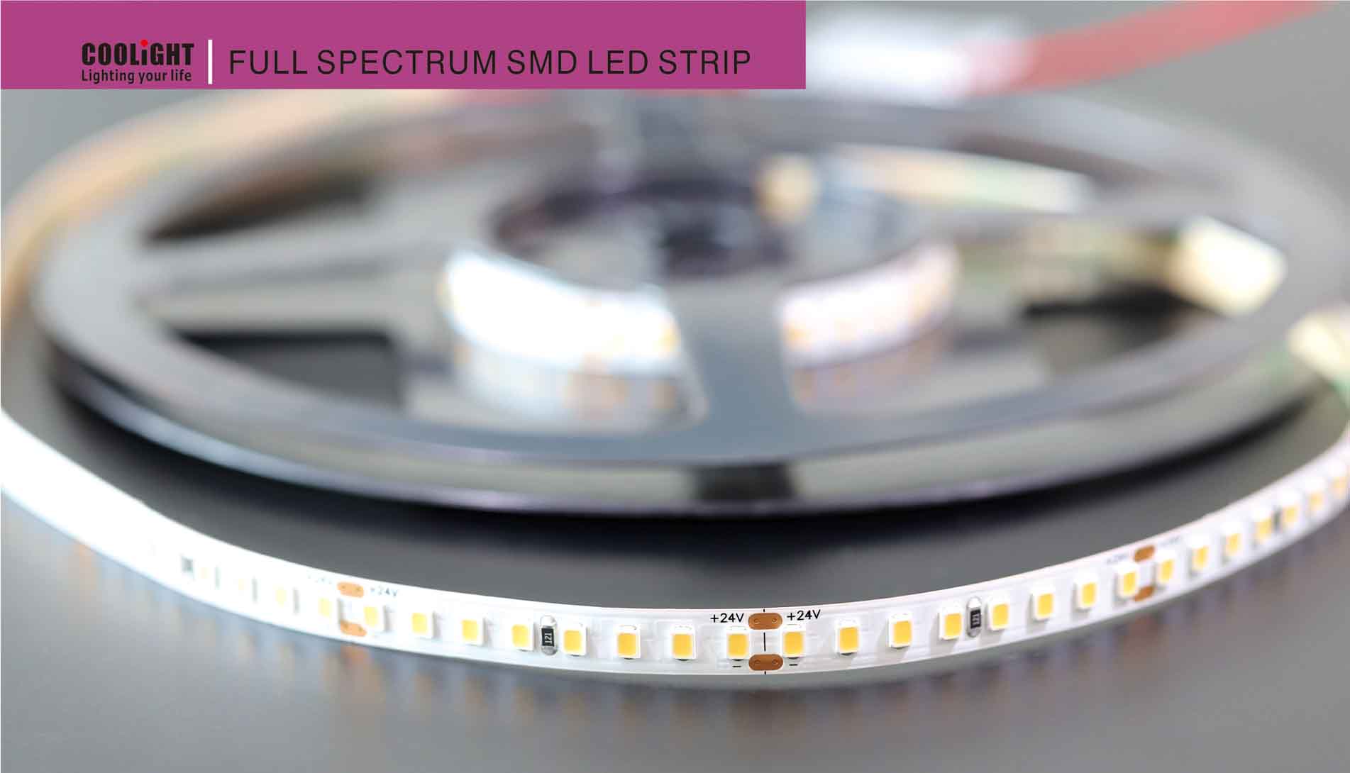 2835 160led/m 24v cri>95 r1-r15>90 9.6w led strip