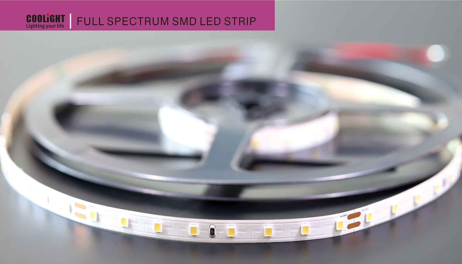 2835 led strip 80ledm 24v cri95 r1-r15>90 4.8w