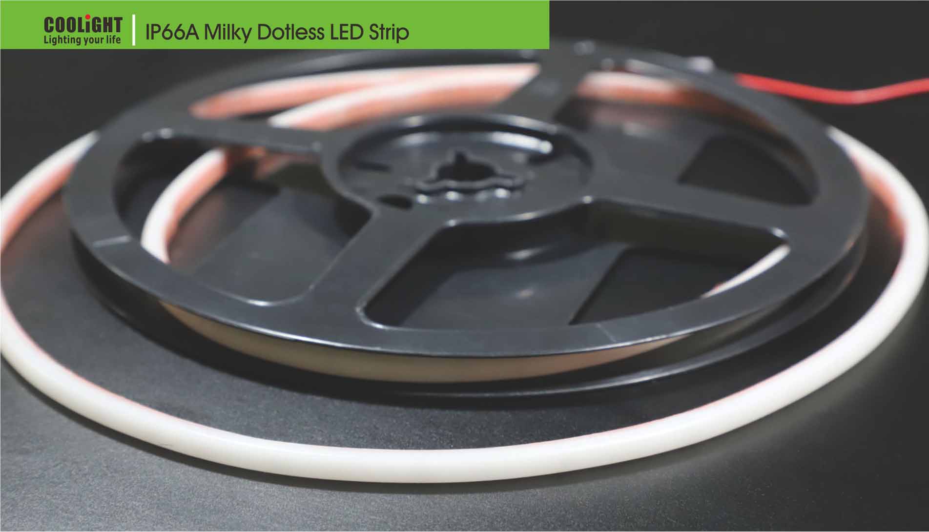 288led/m 12v 6w led strip