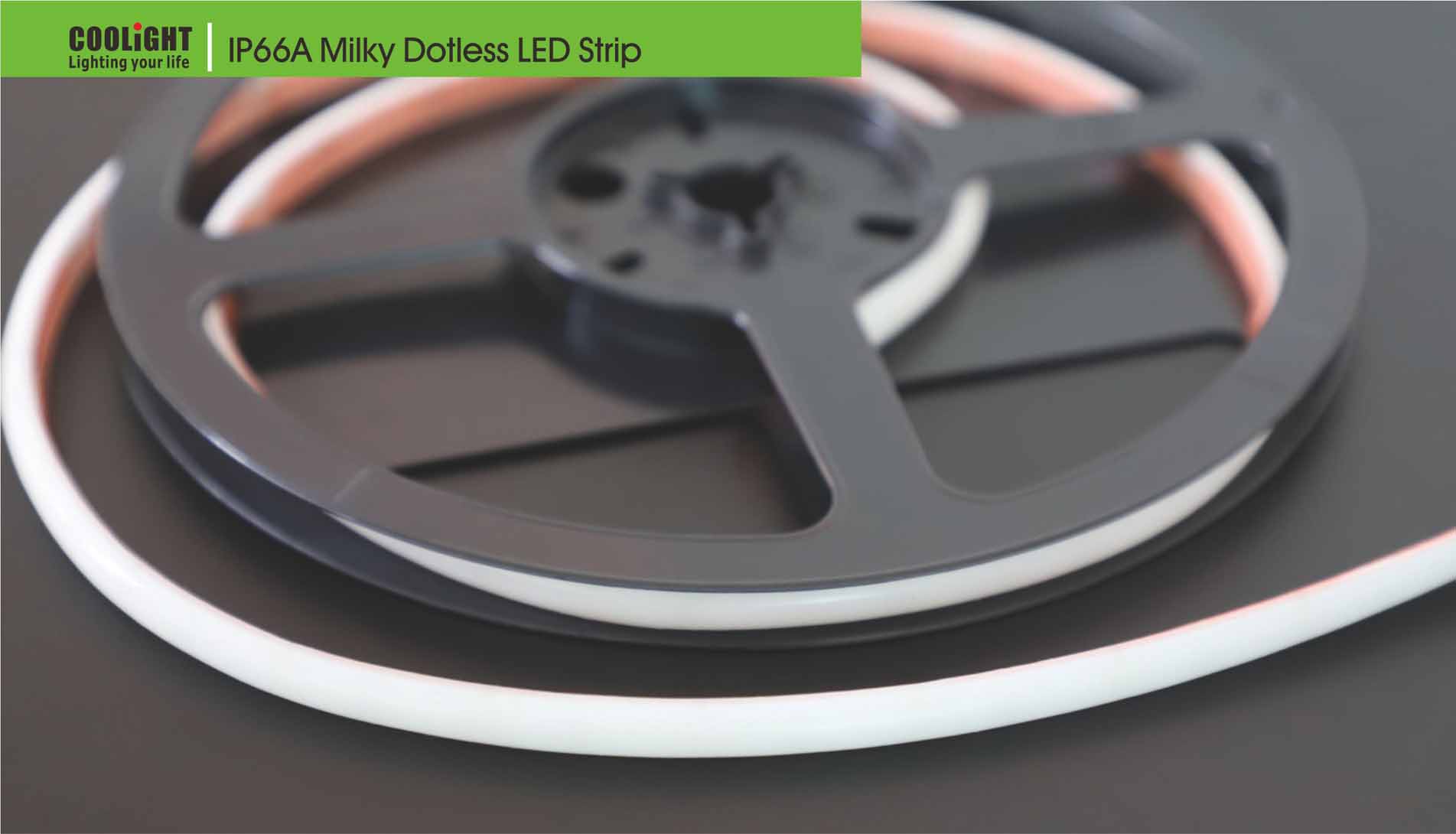 288led/m 12v 12w led strip