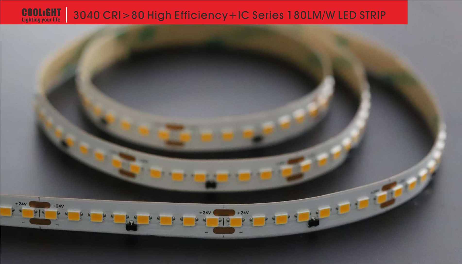 3040 160led/m 24v 19.2w led strip