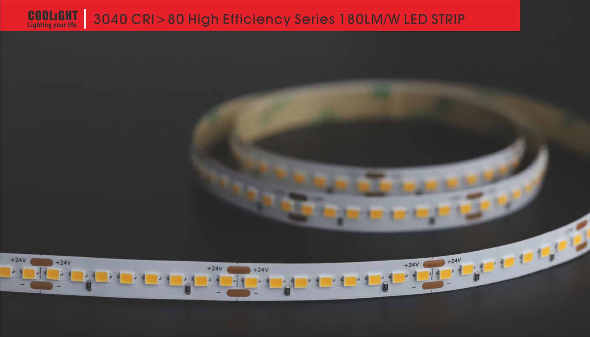 3040 160led/m 24v 19.2w led strip