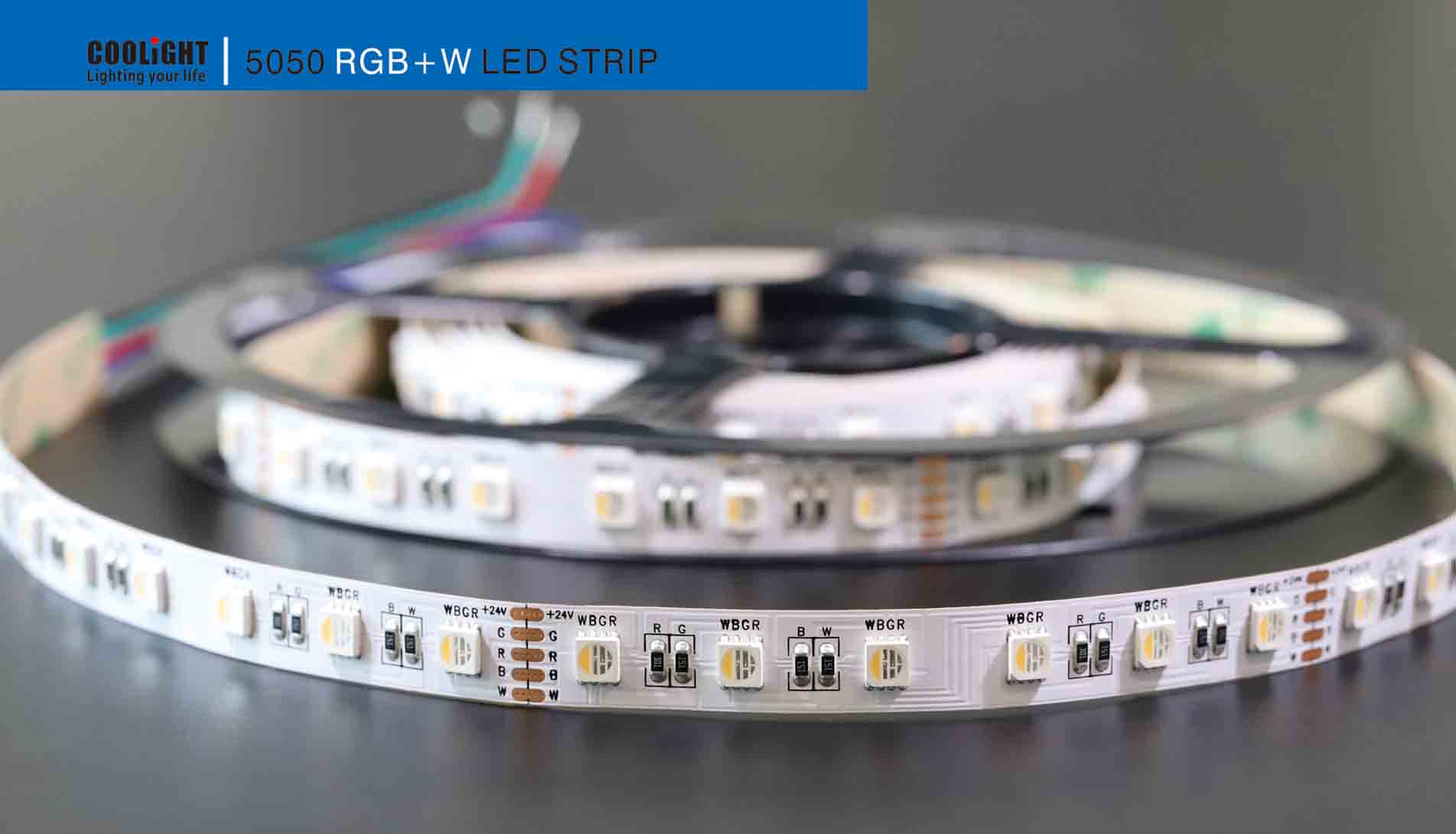 5050 60led/m 24v rgb+w led strip